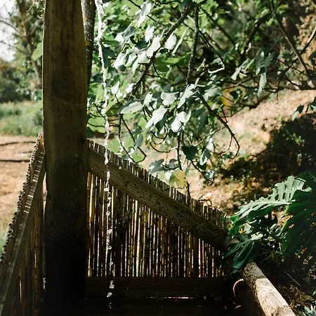 別荘 Quinta Do Arade - Casa Girassol シルヴェス